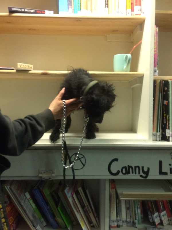 Picture for event Volunteer Only - Canny Little Library Inventory and Pizza