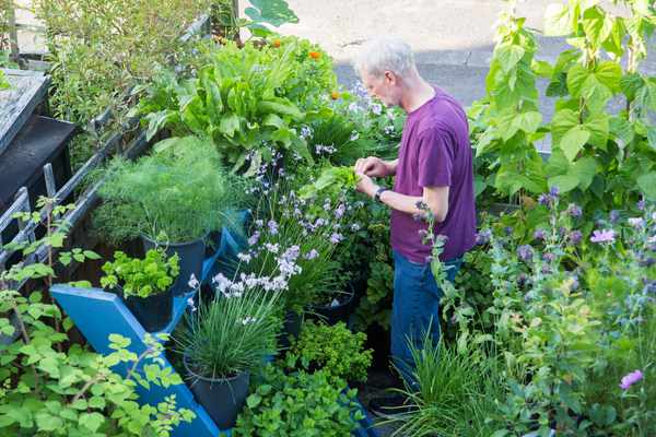 Picture for event Grow Food in Your Back Yard (Talk)