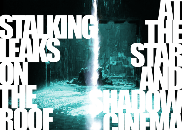 Picture for event leaky roof